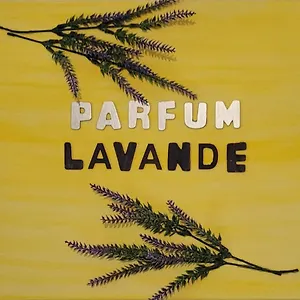  Appartement Parfum Lavande